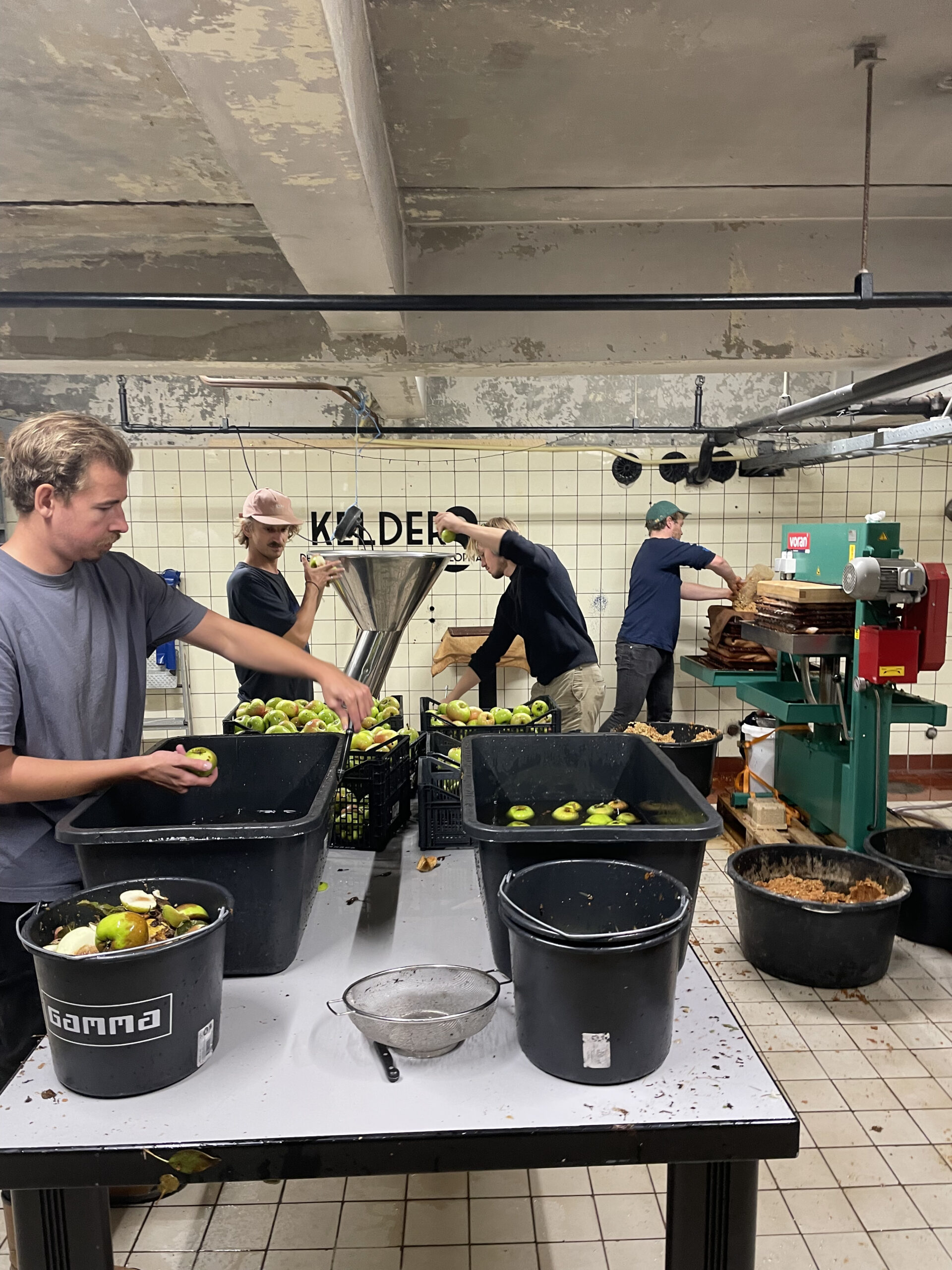 Cider maken in de ciderij in de Van Nellefabriek