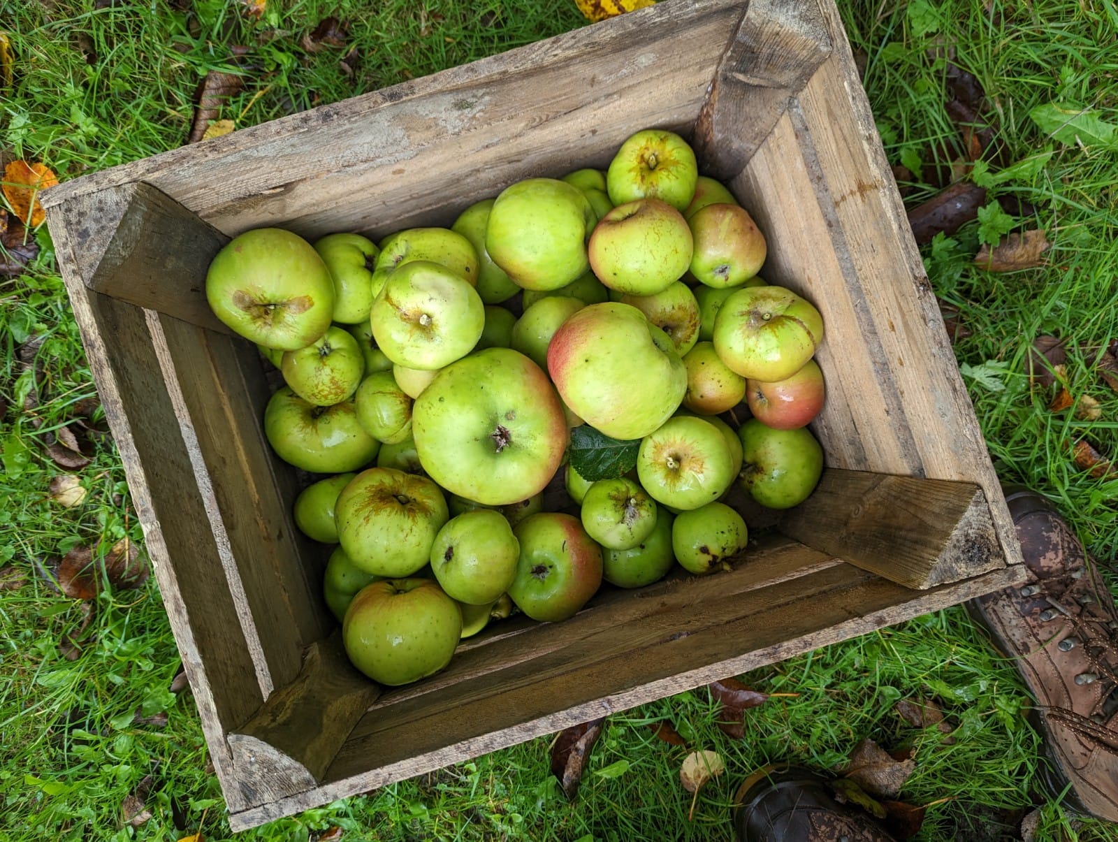 appels in fruitkist