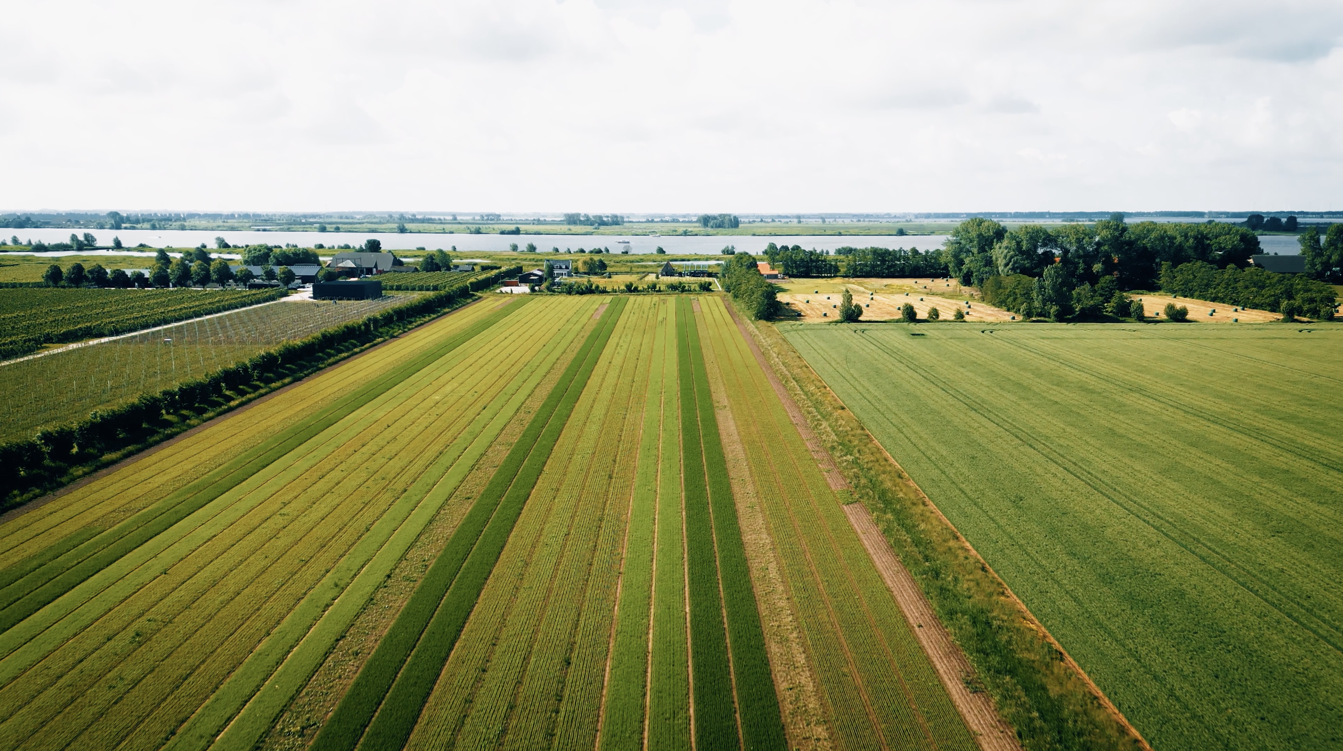 Op de Zuid-Hollandse Eilanden zijn sinds 2024 innovatieve ‘Biodiverse Akker […]