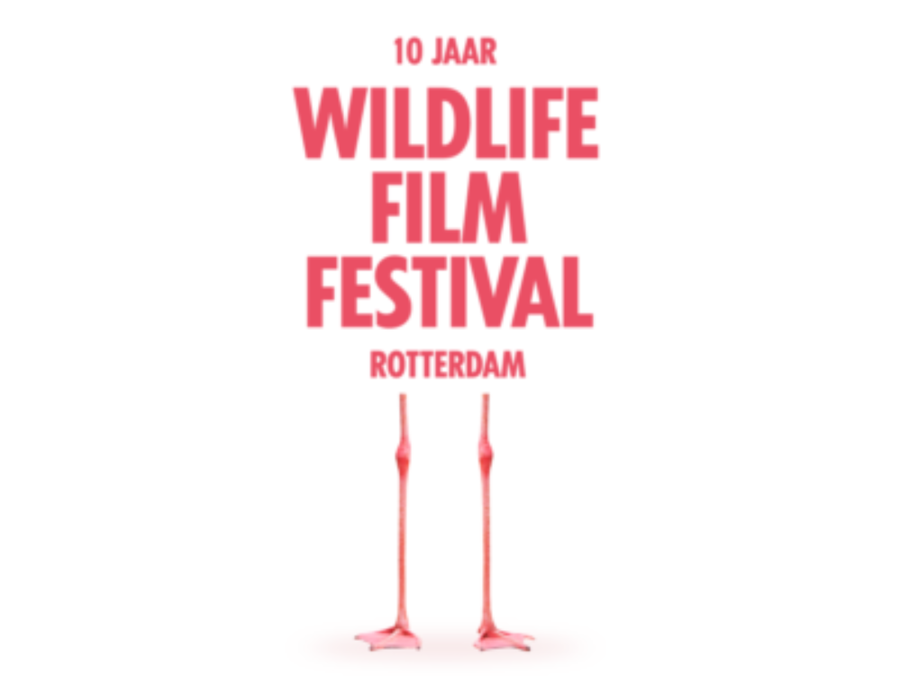 Het Wildlife Film Festival (WFFR) vindt dit jaar van 4 […]