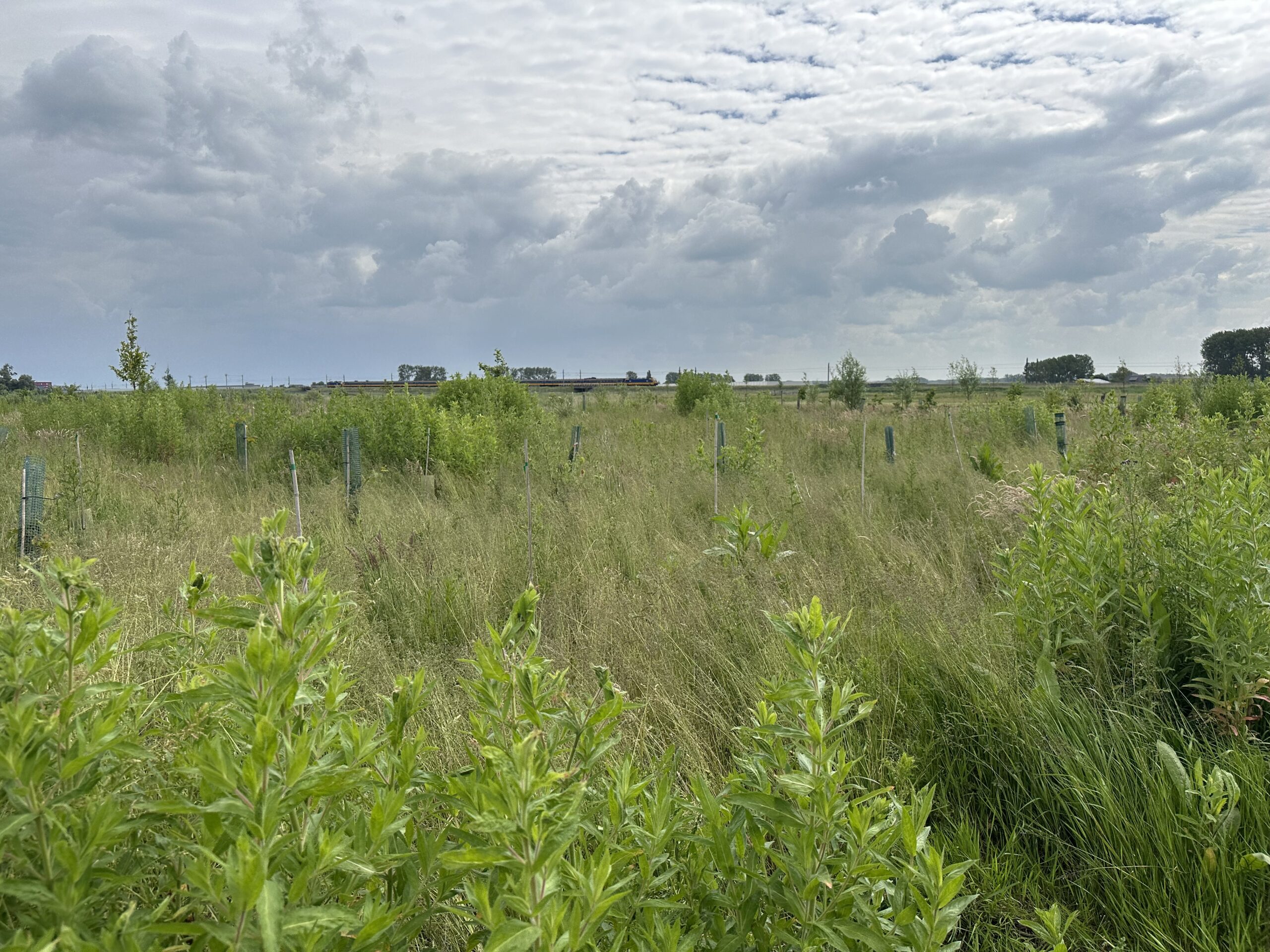 In de Hoeksche Waard is vanaf 15 februari aanstaande ruim […]